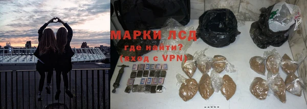 индика Армянск