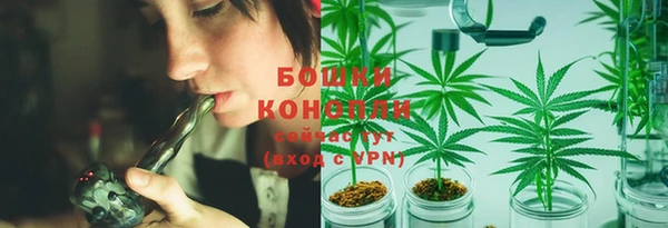 spice Аркадак