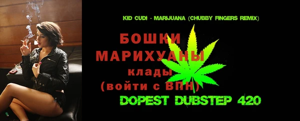 spice Аркадак