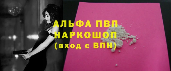 индика Армянск