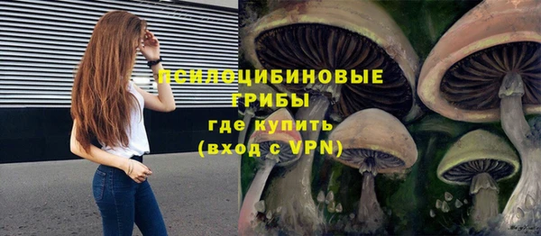 индика Армянск