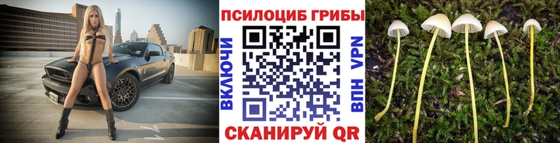 MEGA рабочий сайт  Лесозаводск  Галлюциногенные грибы GOLDEN TEACHER 